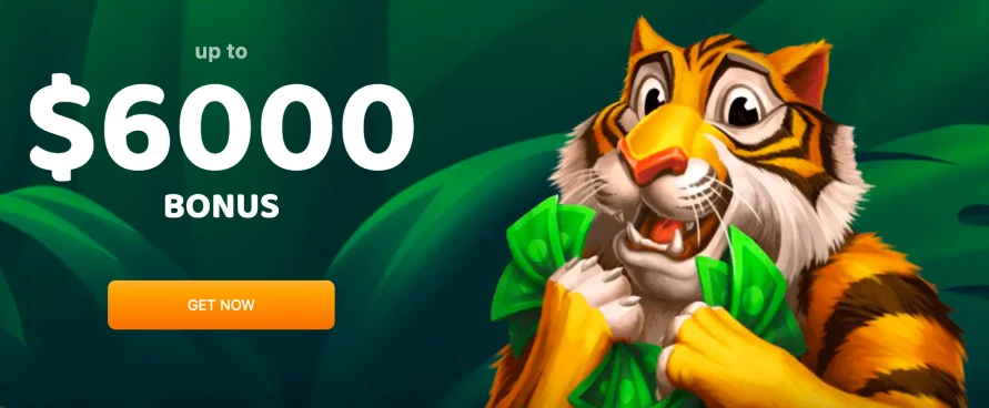 Lucky tiger casino